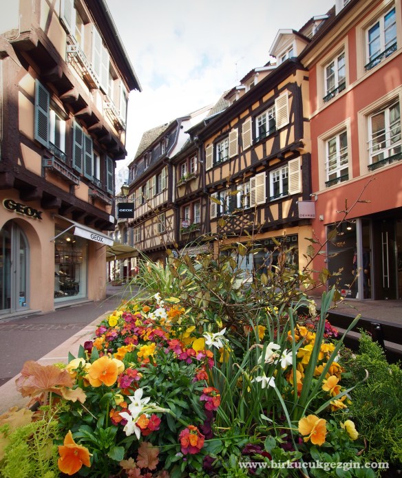 colmar