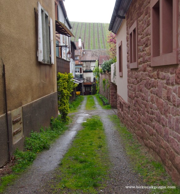 Riquewihr